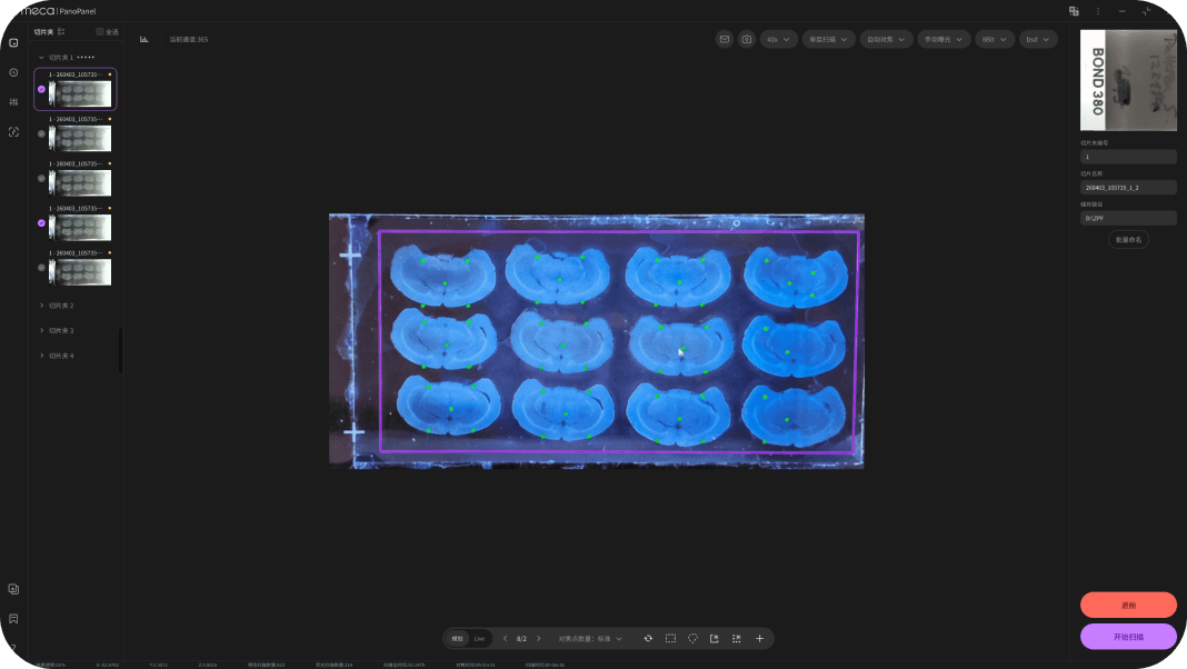 自动识别、自动规划、自动扫描